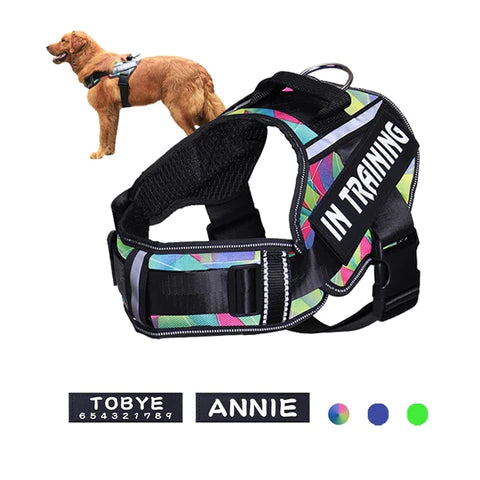 Personalised No-Pull Padded Dog Harness