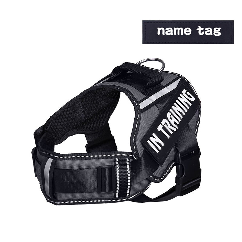 Personalised No-Pull Padded Dog Harness