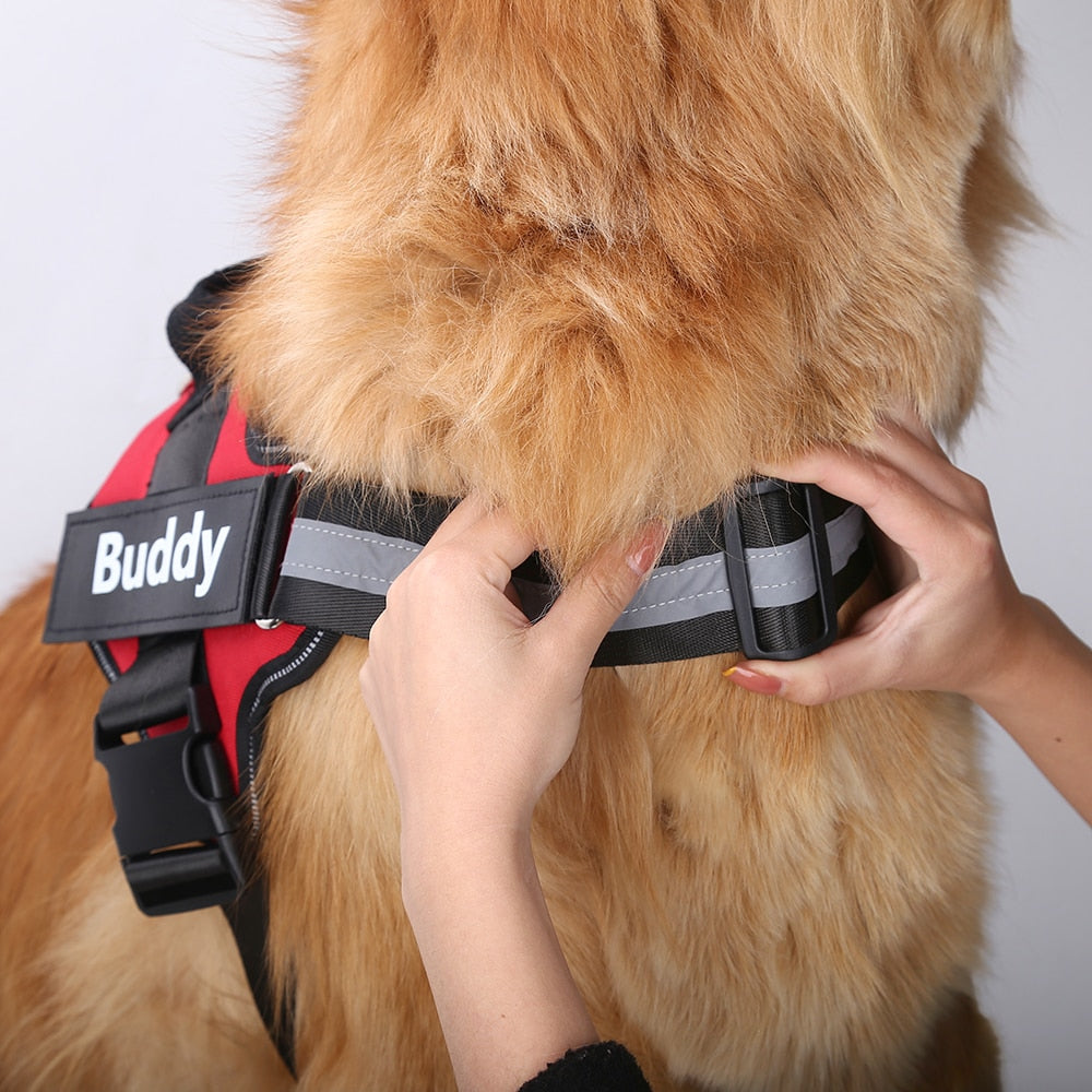 Personalised No-Pull Dog Harness with Reflective Strip